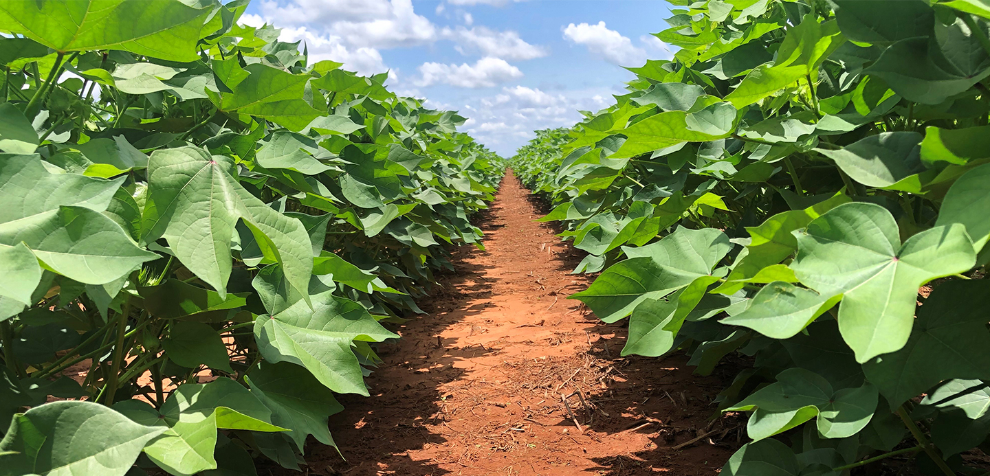 Innovative thinking: HSBC TradePay simplifies supplier payments Innovative thinking: HSBC TradePay simplifies supplier payments