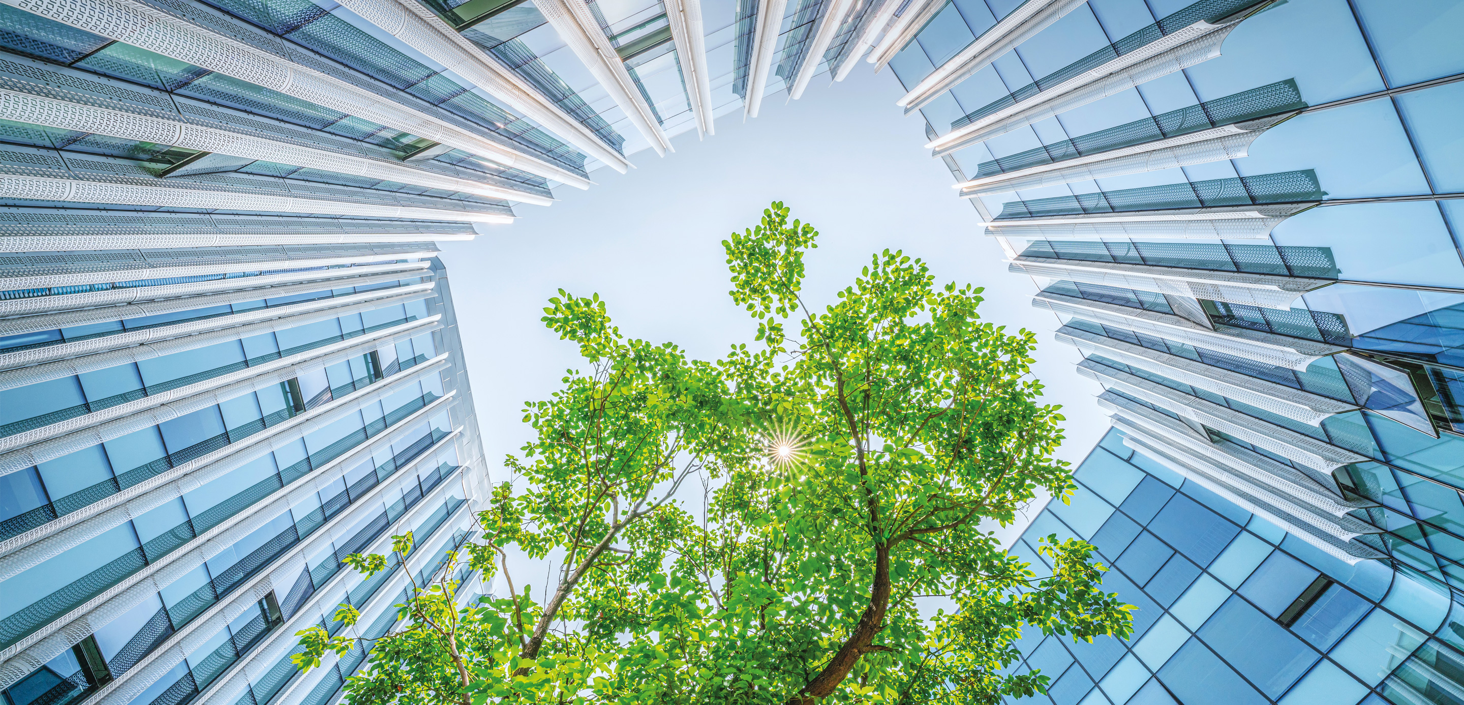 climate disclosure rules in Australia climate disclosure rules in Australia