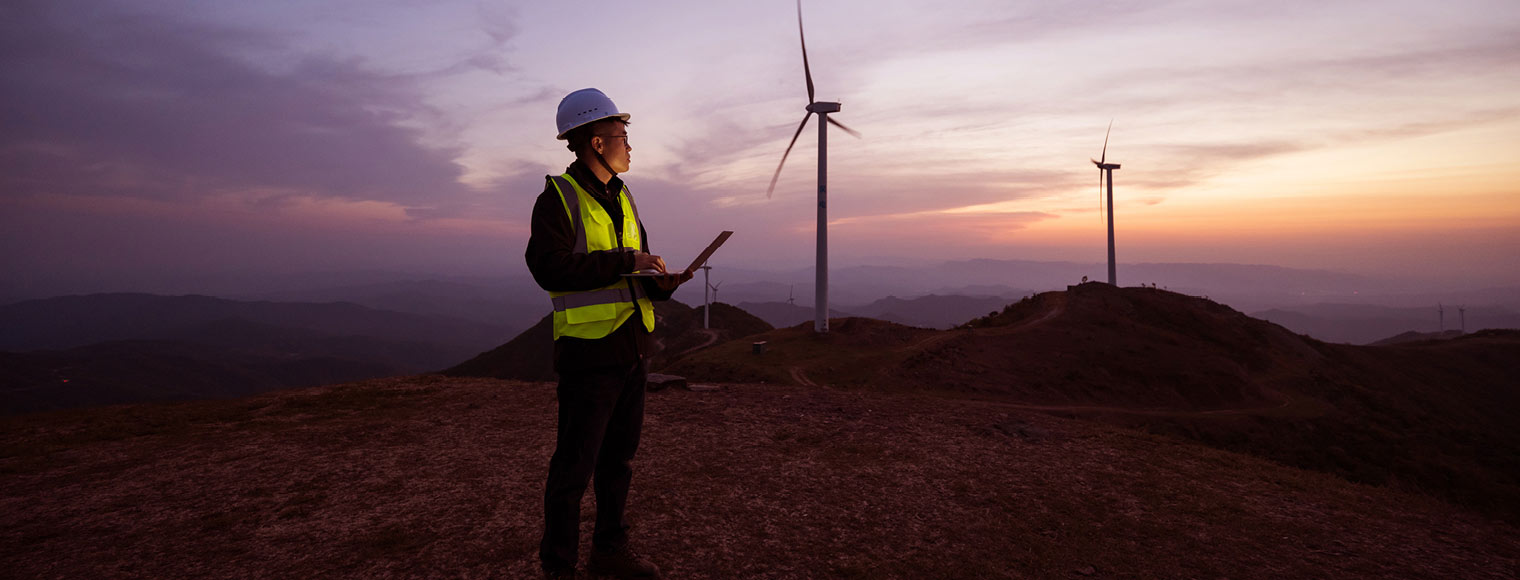 sustainability sustainability