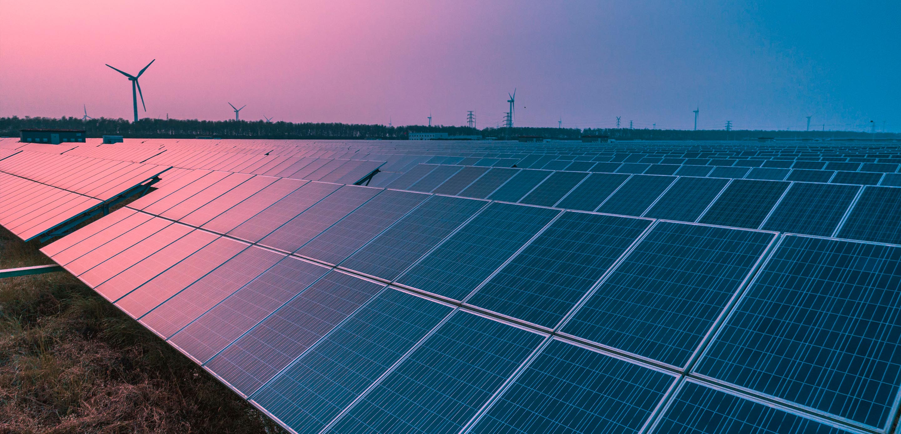 net zero transition, solar panels and wind turbines at dawn net zero transition, solar panels and wind turbines at dawn