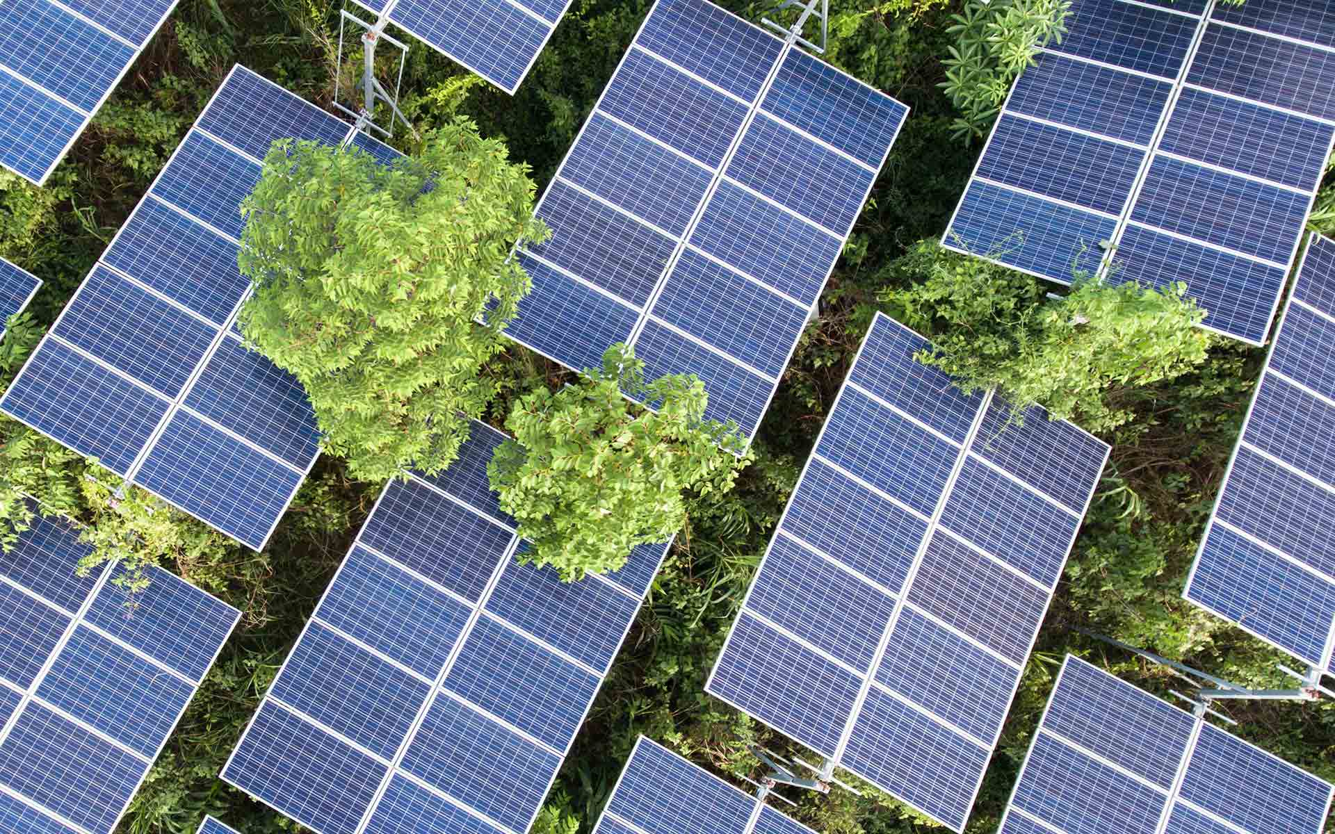 Sustainability Linked Loans: Solar power panels in green field Sustainability Linked Loans: Solar power panels in green field