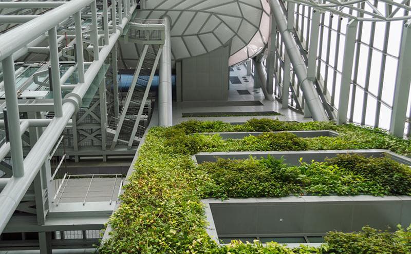 Sustainability Linked Loans: Solar power panels in green field