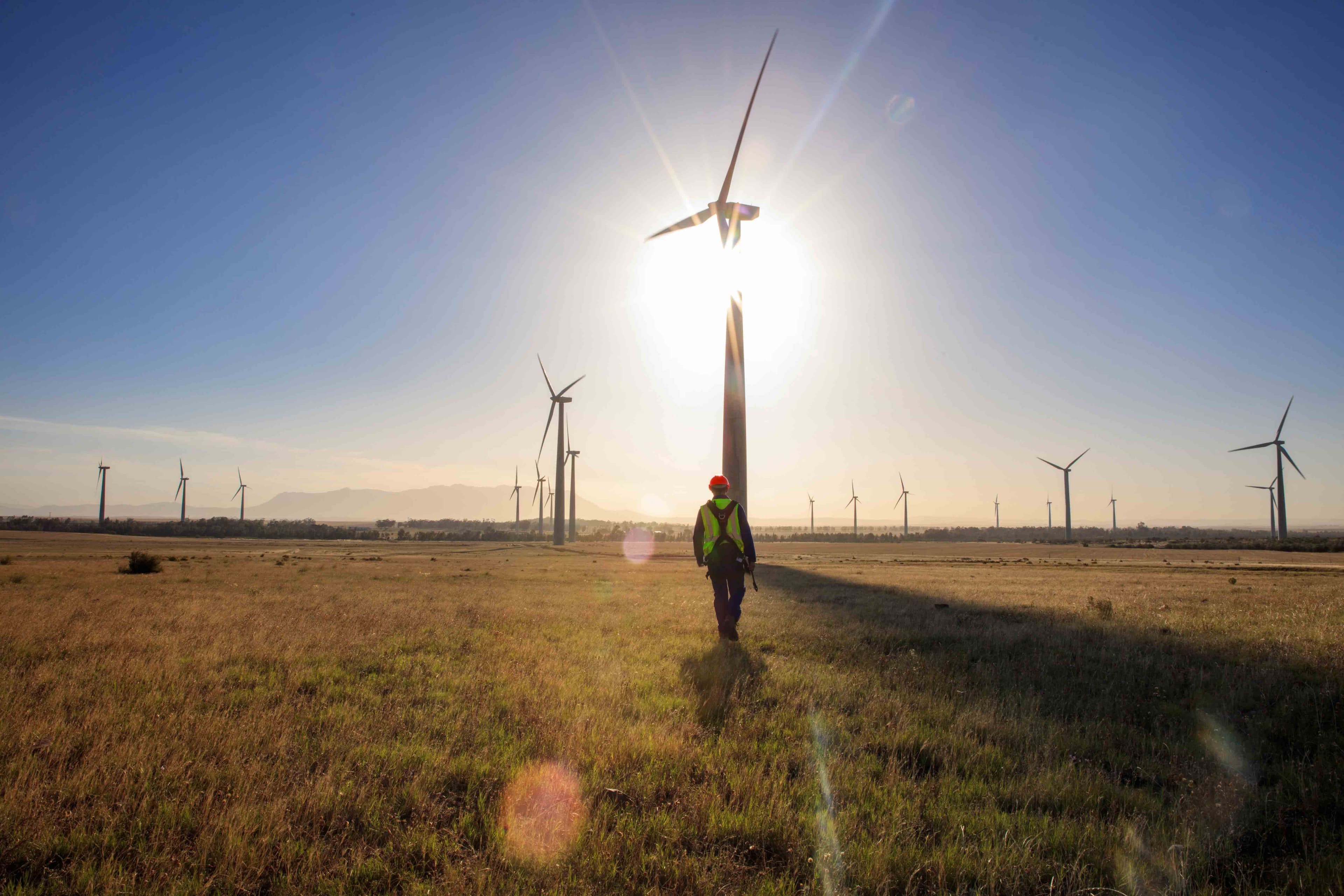 Sustainability Linked Loans: Solar power panels in green field